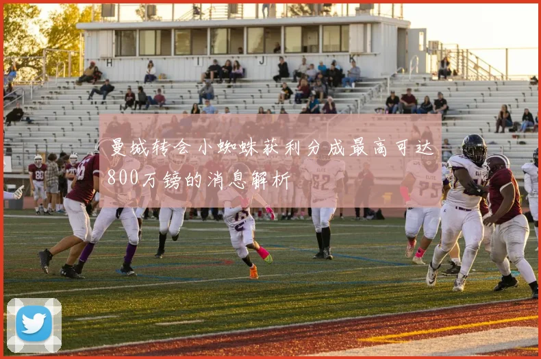 曼城转会小蜘蛛获利分成最高可达800万镑的消息解析