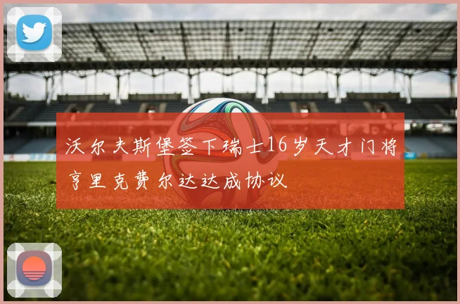 沃尔夫斯堡签下瑞士16岁天才门将亨里克费尔达达成协议